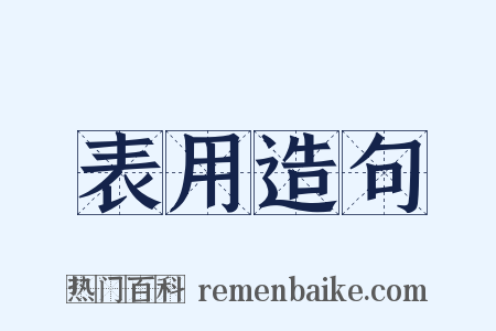 表用造句是什么意思的图片